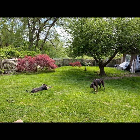 hello! - Picture 5 of 5